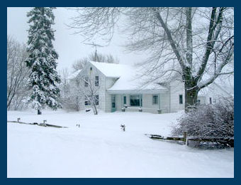 Black labs, Chocolate labs, Field labs, Field champions, Field Trials, Field Trails, Southland studs, Lab studs, Yellow Labs, Red Labs, Fox Red Labs, Brown Labs, Chocolate Labs, Hunt tests, Hunting labs, Agility labs