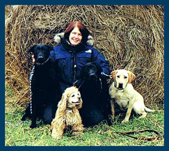 Black labs, Chocolate labs, Field labs, Field champions, Field Trials, Field Trails, Southland studs, Lab studs, Yellow Labs, Red Labs, Fox Red Labs, Brown Labs, Chocolate Labs, Hunt tests, Hunting labs, Agility labs