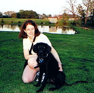 Black labs, Chocolate labs, Field labs, Field champions, Field Trials, Field Trails, Southland studs, Lab studs, Yellow Labs, Red Labs, Fox Red Labs, Brown Labs, Chocolate Labs, Hunt tests, Hunting labs, Agility labs